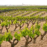 Ardetxal A 16km De Logrono Y Laguardia
