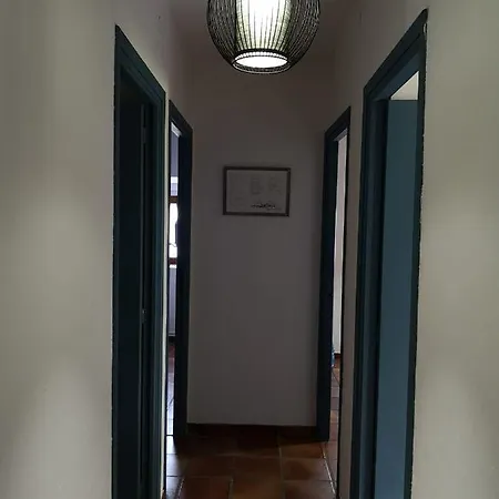 Ardetxal Antiguo Molino Del Siglo Xvi En Plena Naturaleza Entre Vinedos *