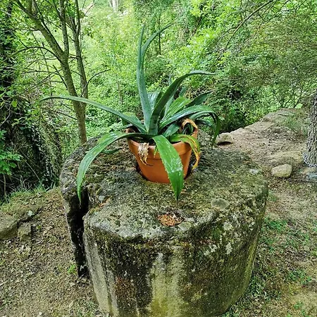 Ardetxal Antiguo Molino Del Siglo Xvi En Plena Naturaleza Entre Vinedos Prázdninový dům