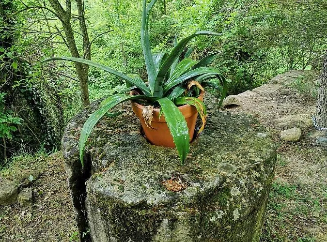 Ardetxal A 16km De Logrono Y Laguardia Дом отдыха